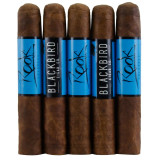 Blackbird Rook Robusto 5-Pack