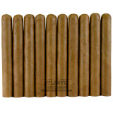 Esteban Carreras Small Batch Connecticut Toro 10-Pack Esteban Carreras Small Batch Connecticut Toro 10-Pack
