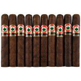 Joya De Nicaragua Antano 1970 Robusto Grande 10-Pack