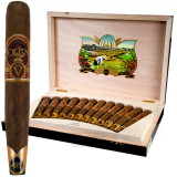Oliva Serie V 135th Anniversary Edicion Limitada Perfecto